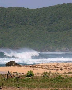 Surfing
