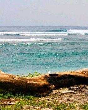 Surfing
