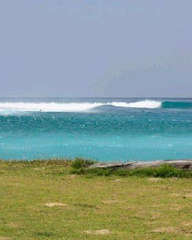 Surfing