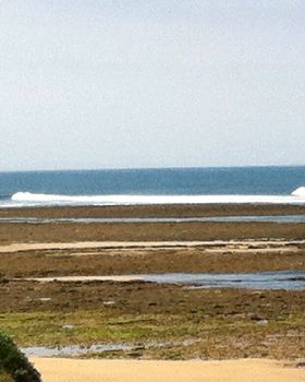 Surfing