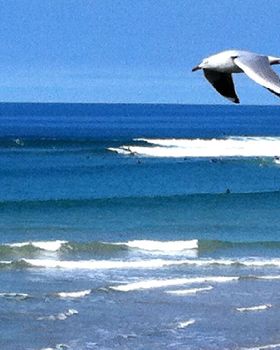 Surfing
