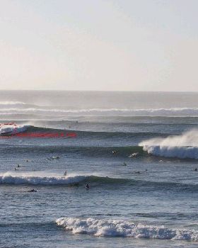 Surfing
