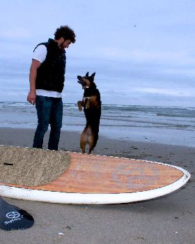 -stand-up-paddle-race-board-stand-up-paddle-yoga-stand-up-paddle-aminals-stand-up-paddle-dog-puppies