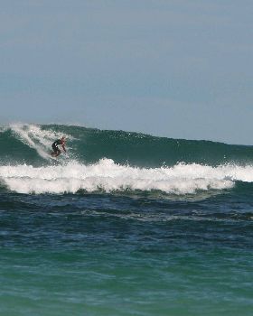 Surfing