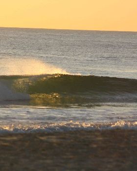 Surfing