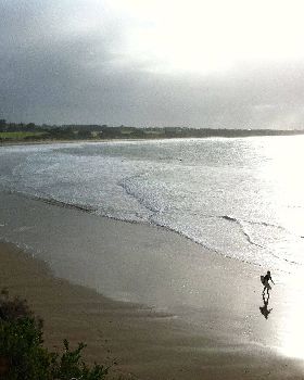 Surfing