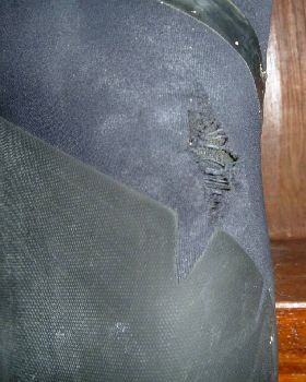 free wetsuit