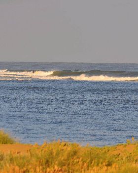Surfing