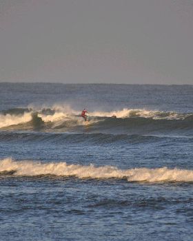 Surfing