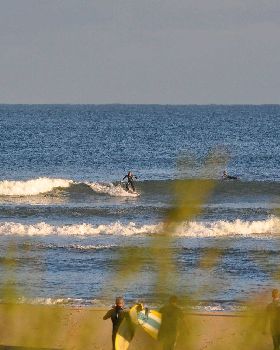 Surfing