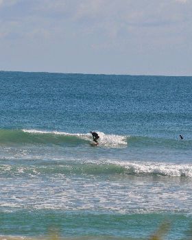 Surfing