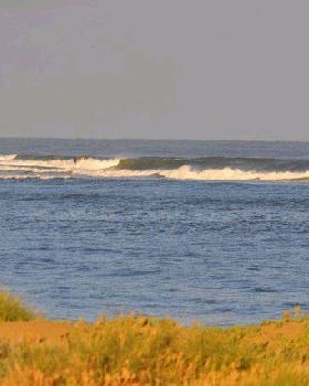 Surfing