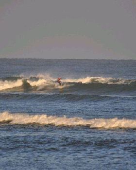 Surfing