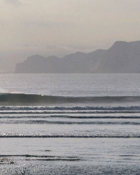 Surfing