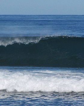 Surfing