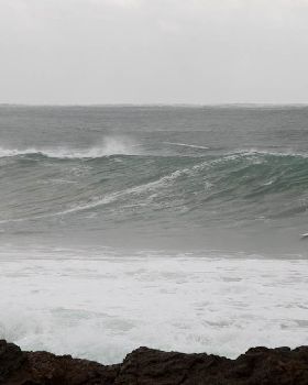 Tow In's - 24th AUG 2011