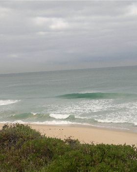 Surfing