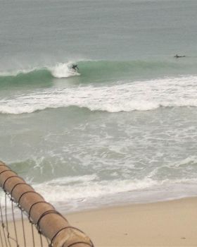Surfing