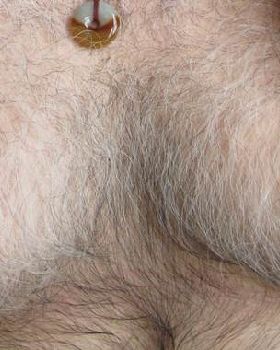 hairy man boobs
