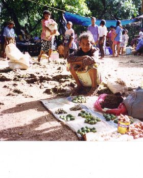 local markets