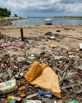 Litter in Bali