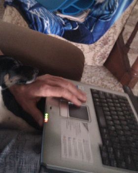 IMAG0182