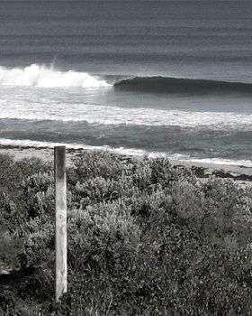 Surfing