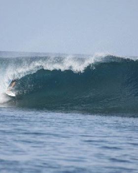 Surfing