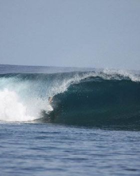 Surfing