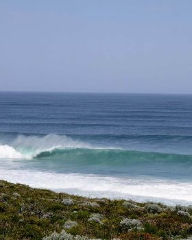 Surfing