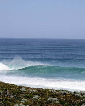 Surfing