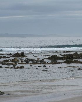 Surfing