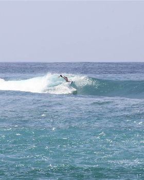 33 Tropicals Rayne 1, SUMBAWA