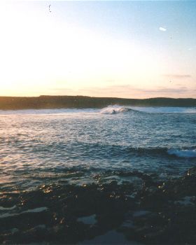 canaries surf