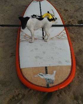 Surfing
