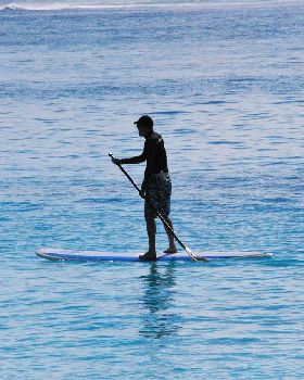 Doggie SUP