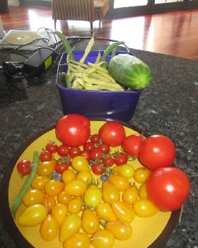 Garden Delights
