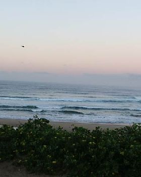 my local break