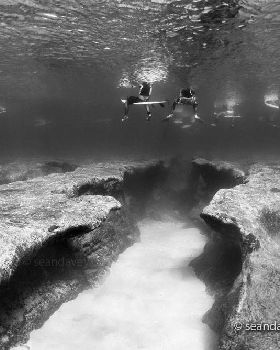 Pipe-Reef-Surfers[1]