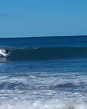 IMAG0206