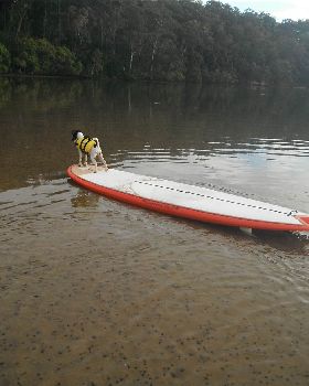 Surfing