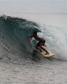 Grom Indo
