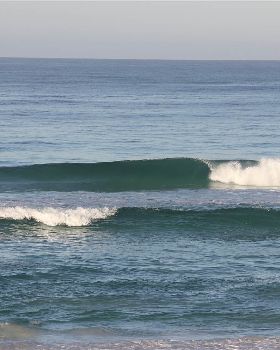 Wedge20.01.12 011