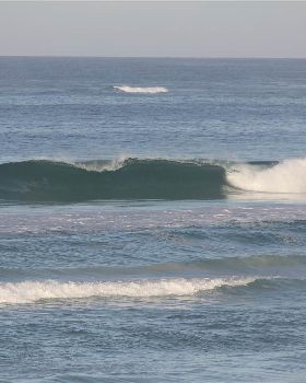 Wedge20.01.12 007
