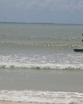 Surfing