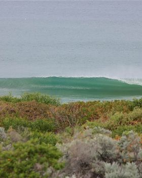 Surfing