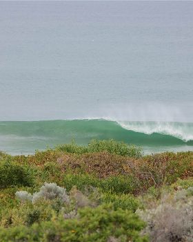 Surfing