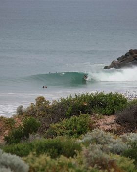 Surfing