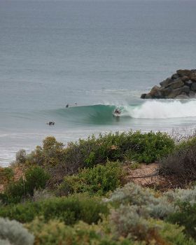 Surfing