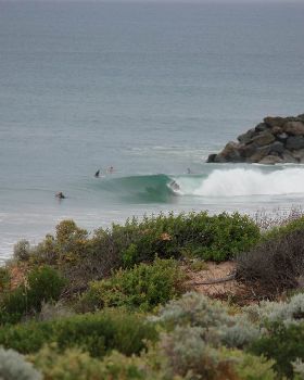 Surfing